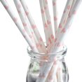 thumbnail image 1 of 25 Pcs/Pack Pailles en Papier à Rayures Jetables Multicolores Pailles pour Pailles Pailles en Papier Fête, 1 of 1