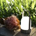 thumbnail image 2 of Tubicen Lampe DEL Portable avec Port USB, Lampe de Table Tactile à 3 Niveaux Réglables, Lampe de Chevet Alimentée par Batterie 4000 mAh, Poignée Lisse Confortable à Tenir pour Chambre, Camping, Randonnée, BBQ, 2 of 8