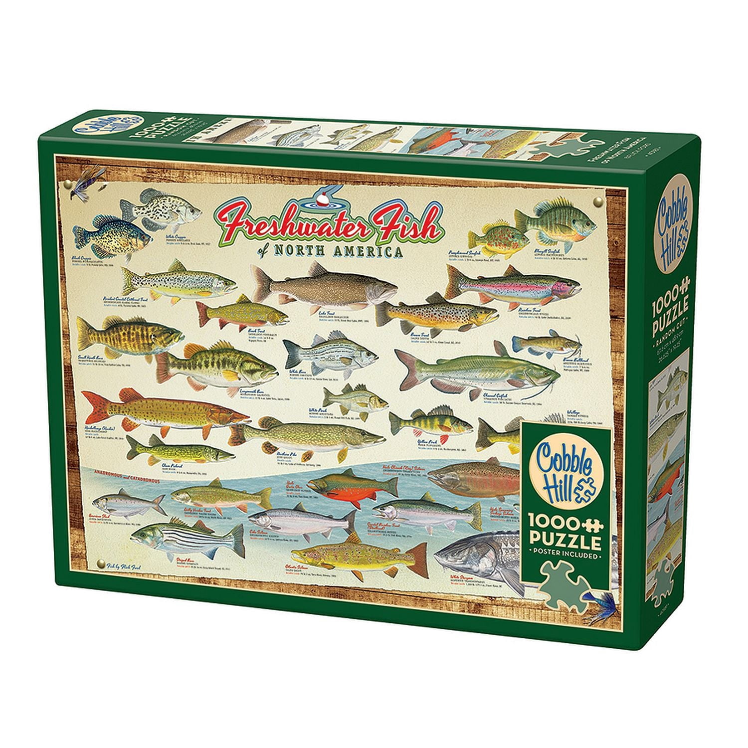 Cobble Hill Jigsaw Puzzle - Freshwater Fish of North America, 1000 Piece Puzzle