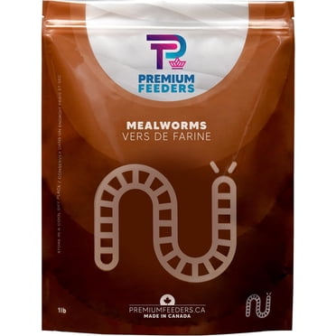 1lb - MEALWORMS by Premium Feeders – Approx 16000 Dried Mealworms - Chicken & Bird Feed - Meal Worms Treats - High Protein - Natural – Mealworm for Chickens, Wild Birds, Hamster, Rat, Hens & Hedgehog