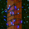 thumbnail image 2 of Novelty Lights 70 Light C6 LED Christmas Mini Light Set, Commercial Grade Outdoor String Lights, Blue, Green Wire, 24 Feet, 2 of 7