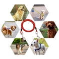 thumbnail image 4 of Heavy Duty Dog Tie Out Leash with Swivel for Large Dogs Outdoor Yard Camping Runner Secure Tethering, 4 of 4
