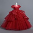 thumbnail image 1 of LOVZFMLL Girls' Summer Short Sleeve Ruffled Lace Round-Neck Embroidery Mesh Princess Bow Skirt, 1 of 2