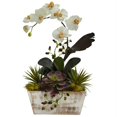 thumbnail image 1 of Orchid & Succulent Garden with White Wash Planter, 1 of 1