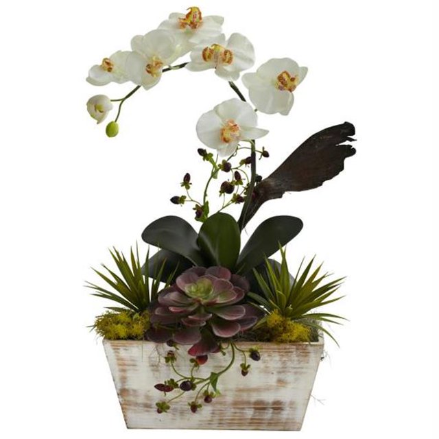 Orchid & Succulent Garden with White Wash Planter