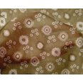 thumbnail image 5 of oneOone Silk Tabby Brown Fabric Block Sewing Craft Projects Fabric Prints By Yard 42 Inch Wide-BK, 5 of 5