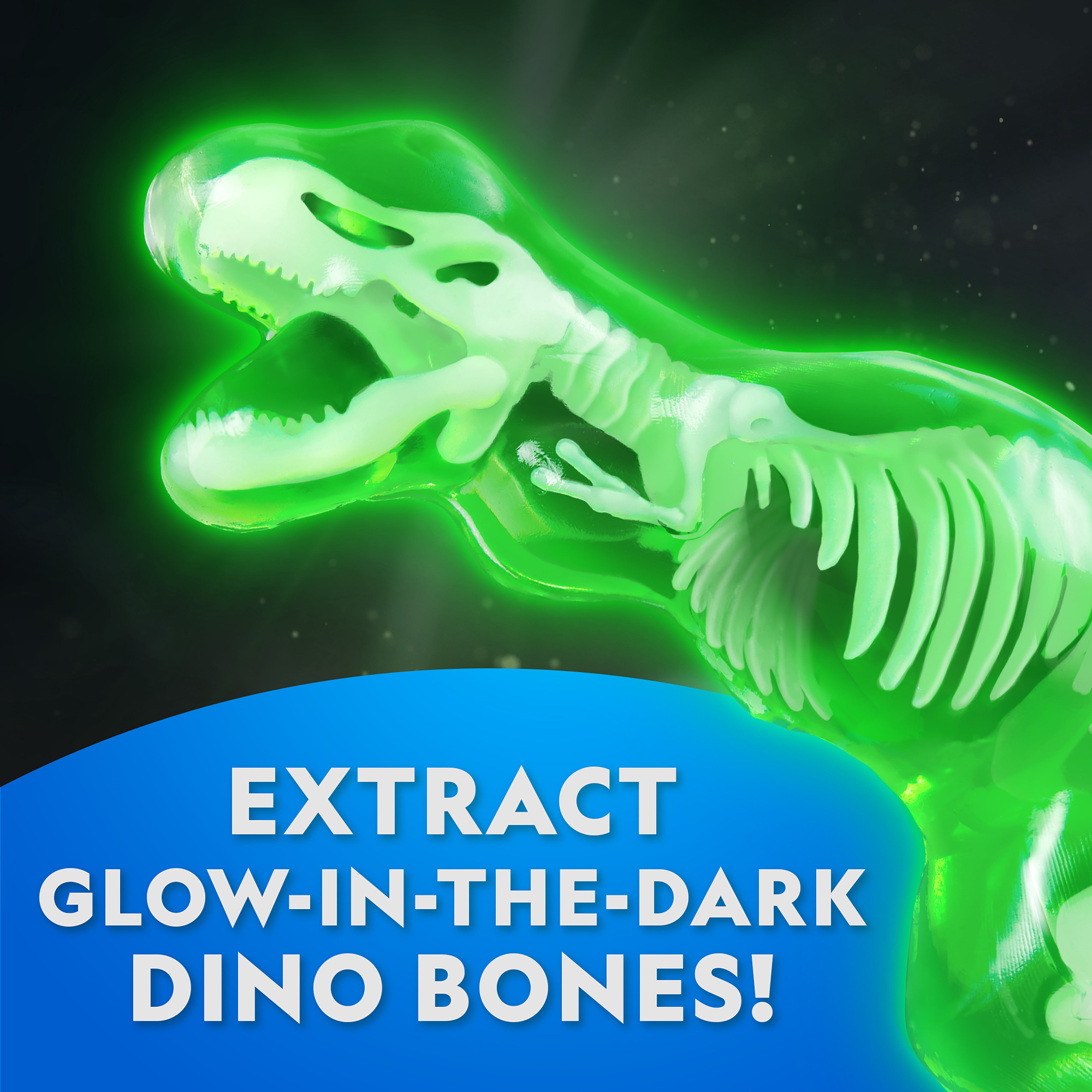 National Geographic Laboratoire de dissection phosphorescent – T-Rex (avec recharge) 6 ans et plus