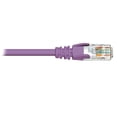 thumbnail image 1 of BlueDiamond Ethernet Cat6 Patch Cable CSA & UL approved - 75ft, Purple, 1 of 1