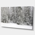 thumbnail image 3 of Designart Foggy Winter Forest Panorama Canvas Wall Art, 3 of 4