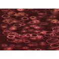 thumbnail image 1 of Ahgly Company Tapis d'Intérieur Rectangulaires Transitionnels Rouges Lavables à la Machine, 6 Pieds x 9 Pieds, 1 of 7