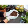 thumbnail image 4 of Miracle-Gro Tropical Potting Mix 8.8L, 4 of 4