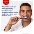 thumbnail image 4 of Colgate Brosse à Dents Extra Clean, Paquet Économique, Souple, 6 Unités, 4 of 5