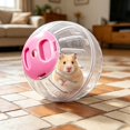 thumbnail image 5 of FEISHENTT Guinea Pig Hamster Toy Ball Exercise Ball for Hamsters 12cm, 5 of 5