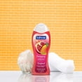 thumbnail image 2 of Gel douche hydratant Softsoap Juicy Pomegranate & Mango, 591 mL (paquet de 2), 2 of 9