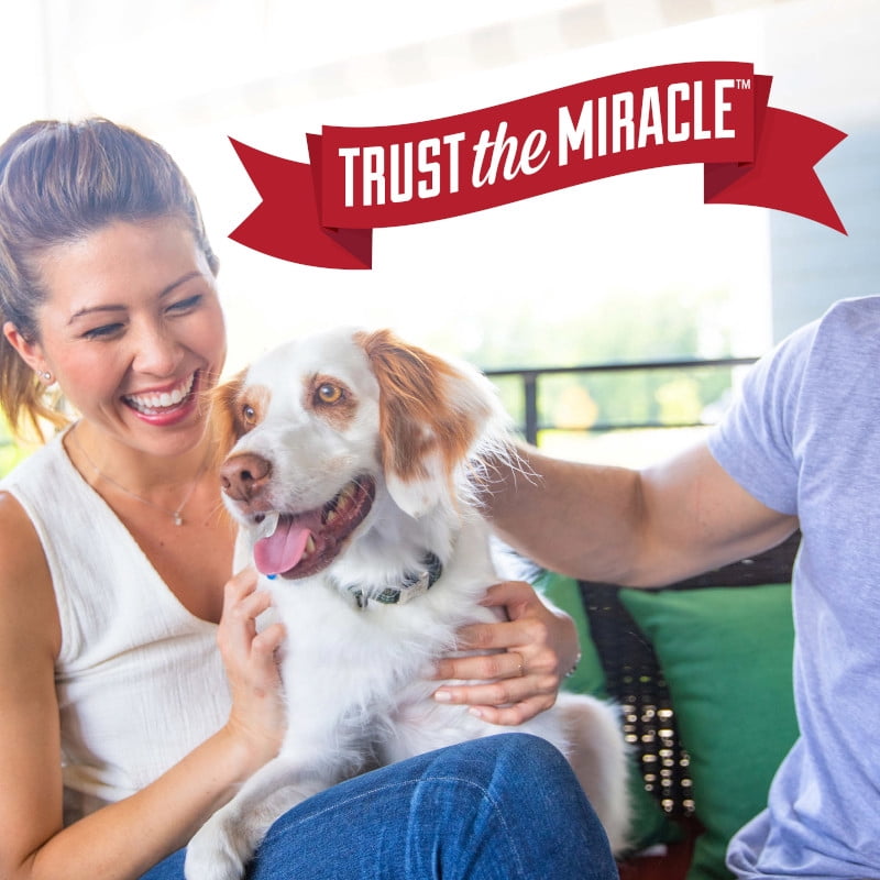 Nature’s Miracle Nettoyant pour taches et odeurs d’animaux – Formule enzymatique, nettoyage rapide pour chiens et chats, format pratique