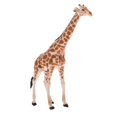thumbnail image 5 of Xingzhi Simulation Animal Model Kids Educational Toys giraffe PL127-413, 5 of 5