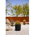 thumbnail image 3 of Veradek Mason Series Kona 10" Planter Black, 3 of 9
