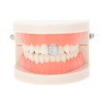 thumbnail image 2 of Unique Bargains 1 Set Fake Teeth Grills Fashion Double Row Diamond for Hip Hop Gift Silver Tone, 2 of 6