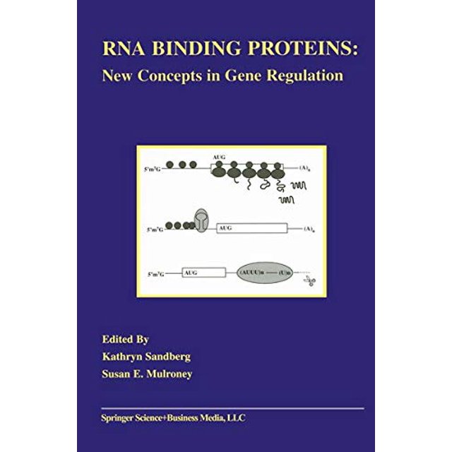Protéines de Liaison RNA: Nouveaux Concepts de Régulation Génétique (Mise à Jour Endocrinienne)