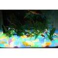 thumbnail image 4 of DOLITY 100 Pierres de Galets Phosphorescentes Mariage Maison Jardin Allée Réservoir Aquarium Bleu, 4 of 9