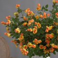 thumbnail image 2 of TopLLC Artificial Flowers, Fake Flowers Artificial Flowers Long Small Roses Modern Living Room Decorations Table Flowers Flower Arrangements Artificial Flower Bouquets Fake Roses, 2 of 3
