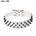 thumbnail image 2 of Dogs Kingdom Leather Black Spiked Studded Dog Collar 2" Wide, Boxer Collar, 2 of 5