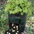 thumbnail image 4 of LAFGUR Sac de Jardin Résistant à l'Usure Set d'Outils de Jardin, pour Jardin de Parc, 4 of 8