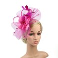thumbnail image 1 of Chapeau de Cocktail pour Femmes Sinamay Fascinator Mariage Église Kentucky Derby Robe, 1 of 7