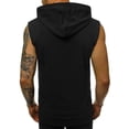thumbnail image 3 of Men's Solid Color Sleeveless Zip-Up Hooded With Pockets Sleeveless Top(Black,L), 3 of 6
