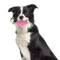 thumbnail image 3 of Durable Corn Shape Dog Toy Squeaky Bite-resistant Teeth Cleaning Perfect for Medium Large Dogs Pet Supply, 3 of 5