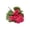 B, variante sur TIELUTT 1 Pce Vase Décoratif Bricolage Adapté à une Utilisation Intérieure pour Fleurs d'Intérieur et Vase Rose Roses en Soie Fleurs Bouquet de Noël Fleurs Hortensias Fleurs