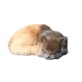 thumbnail image 2 of Redempat Doux au Toucher Réaliste Émulation de Chat Endormi Chats Respirant pour une Expérience Confortable Large Application Mixte Jaune 1Set, 2 of 6