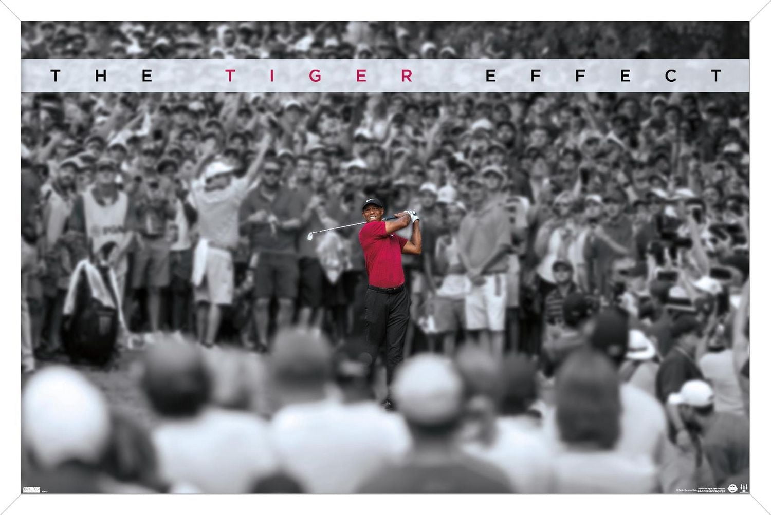 Tiger Woods - L'effet tigre