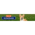 thumbnail image 4 of Hartz Ultra Guard Rid Flea & Tick Dog Shampoo 532ml, 4 of 7