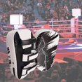 thumbnail image 2 of Kicking Boxing Mitts Kickboxing Muay Thai Pads Training Youth White, 2 of 8
