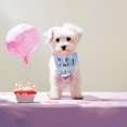 thumbnail image 3 of VONKY Pet birthday drool bib scarf, 3 of 9