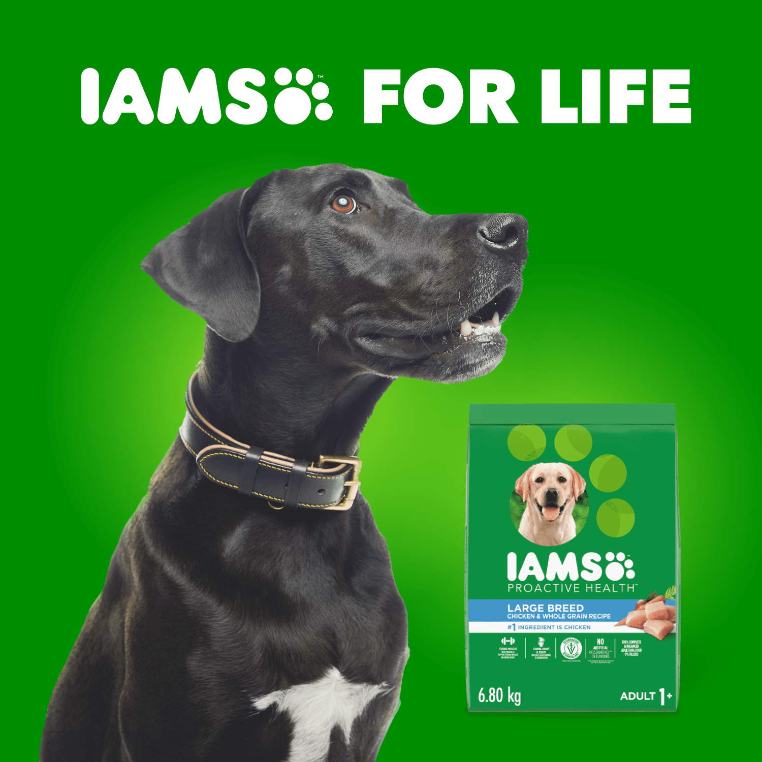 Iams Recette au Poulet & Grains Entiers Adulte Grande Race Nourriture Sèche pour Chiens 10kg