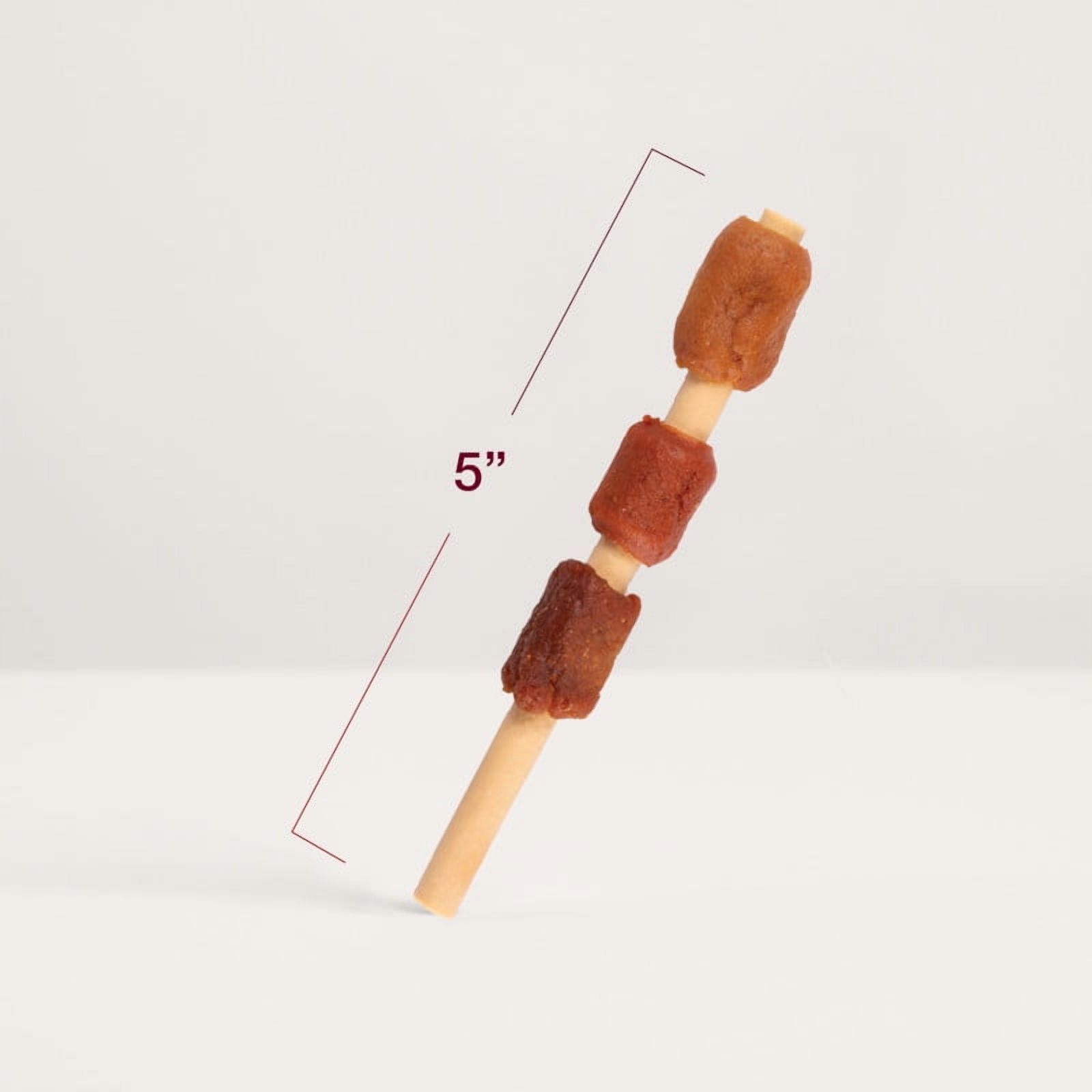 DreamBone Brochettes 12 Unités, Gâteries à Mâcher Sans Cuir Brut pour Tous les Chiens