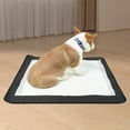 thumbnail image 4 of DOLITY Portable Dog Pee Pads Holder Pet Diaper Organizer for Household Travel Bunny Large, 4 of 7