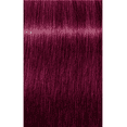 thumbnail image 2 of Schwarzkopf Igora Royal Concentré Rouge VIOLET 0-89, 60 g, 2 of 2