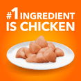 thumbnail image 4 of Nourriture sèche pour chats IAMS PROACTIVE HEALTH Chat âgé en santé avec poulet, sac de 3,18 kg, 4 of 15