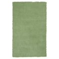thumbnail image 1 of HomeRoots 352641 Tapis en Polyester Vert Menthe Verte 5 x 7 Pi, 1 of 1