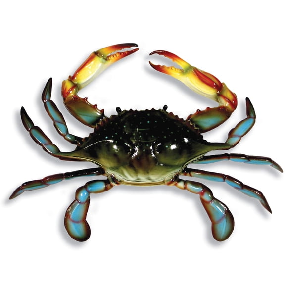 Charlotte International Large Replica Chesapeake Bay Blue Crab Wall Decor