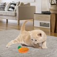 thumbnail image 4 of Halloween Pumpkin Toys For Cats Teething Toys Featuring Pumpkin With Range Expressions Embroidery Designs Interactive Toys For Kitties And Cats ,23 Cm, 4 of 4