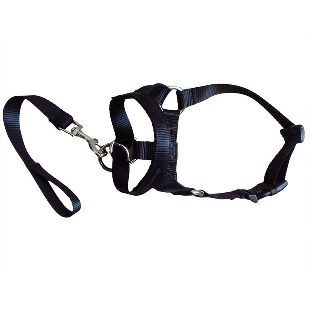 Dog Head Collar Gentle Stop Pulling Pet Lead Padded Noseband Training Halter