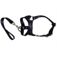 thumbnail image 1 of Dog Head Collar Gentle Stop Pulling Pet Lead Padded Noseband Training Halter, 1 of 1