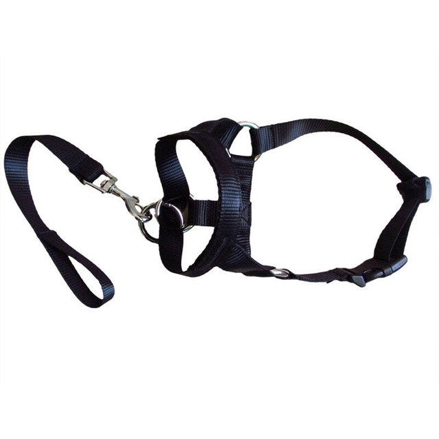 Dog Head Collar Gentle Stop Pulling Pet Lead Padded Noseband Training Halter