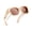Transparent Champagne Frame/Brown Lens, variant on Joopin Large Polarized Fit Over Glasses Sunglasses For Women Men, Oversized Trendy Square Shades For Driving(Tortoise)