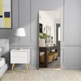 thumbnail image 1 of NeuType Full Length Floor Mirror Rectangular Gold 44"x16", 1 of 7