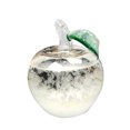 thumbnail image 1 of Hbdhejl Change Glass Crafts Weather Decoration Desktop 50Mlchangeable Glass Bottle Home, 1 of 9